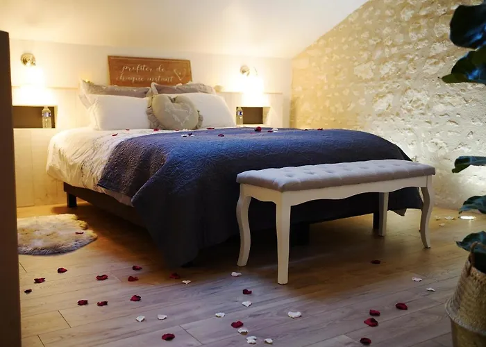 Tatil Evi Les Charmes Du Romantique Avec Jacuzzi Privatif Saint-Cyr (Vienne)
